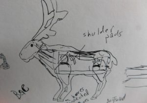 Dan Ballards original sketch of the reindeer -- with legs!