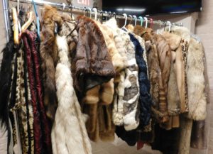 A rack loaded with furs for sale.